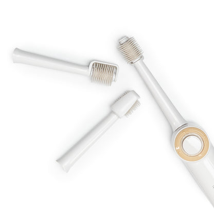 Kit bucal Illumé 3 en 1 - Paquete familiar de 3 unidades